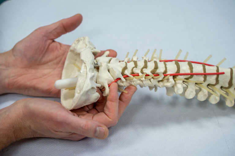 Halswirbelsäule Osteopathie